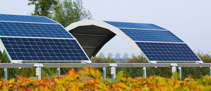 MarcS: Shaping the future of solar energy