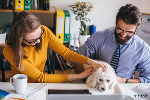 Nestlé PURINA® anuncia Pets at Work, programa que apuesta por un entorno laboral amigable con las mascotas