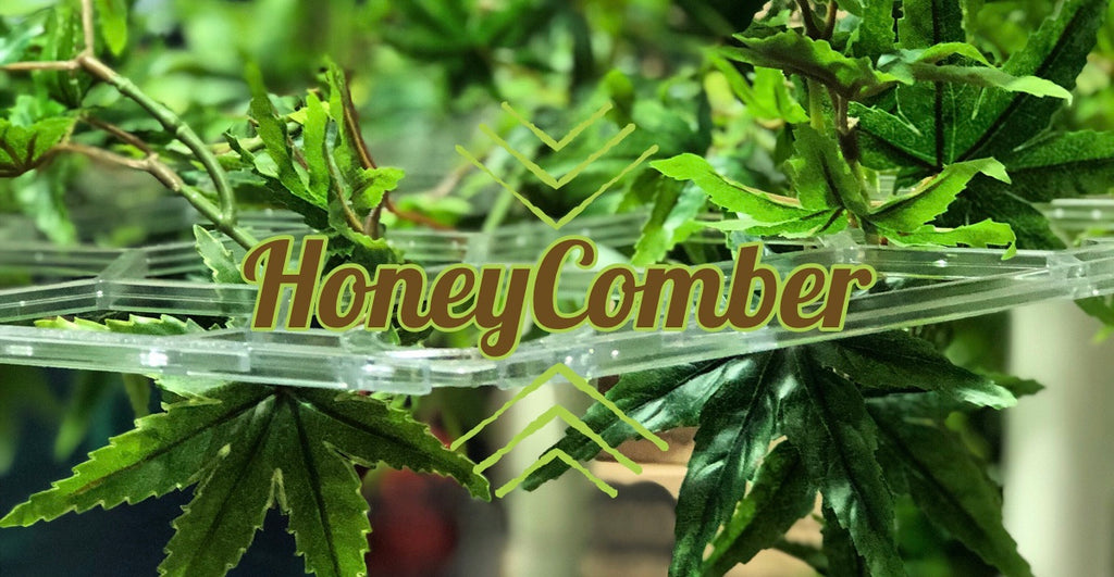 Honeycomber en la II edición de la Copa Cannábica