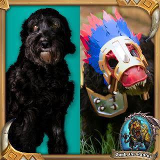 Iniciativa presenta a mascotas en cosplay inspirado en la próxima expansión del juego Hearthstone