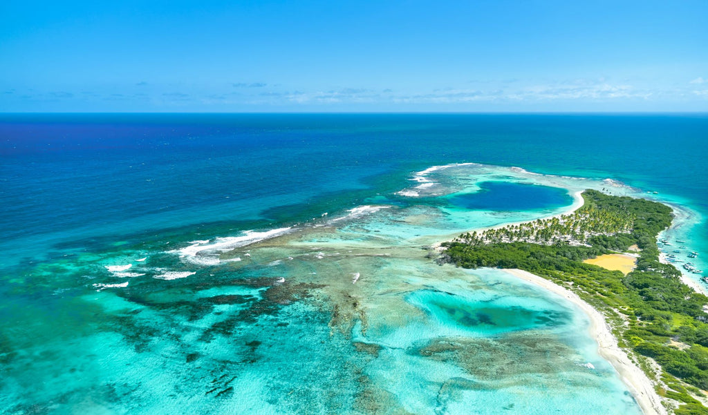 WTTC calls for greater coordination between Caribbean governments