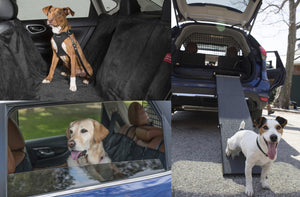 Nissan muestra vehículos y accesorios ideales para celebrar el Día Mundial del Perro