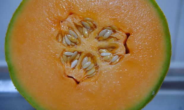 Australian melon industry to review packaging after listeria outbreak