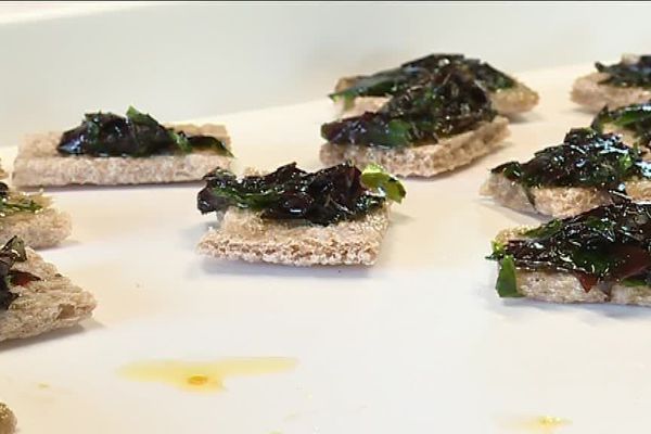 A gourmet revival for St. Lawrence River marine algae