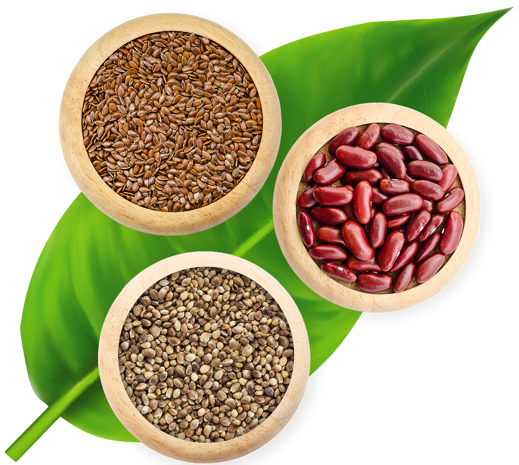 KeyLeaf Life Sciences Resumes Plant-Based Protein Processing to Service Red Hot Market