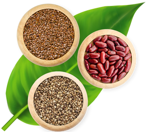 KeyLeaf Life Sciences Resumes Plant-Based Protein Processing to Service Red Hot Market