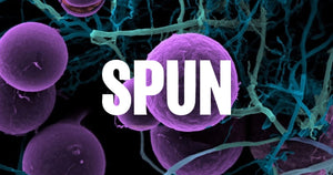 SPUN receives $3 million grant from Schmidt Family Foundation to map and protect carbon sequestering fungi