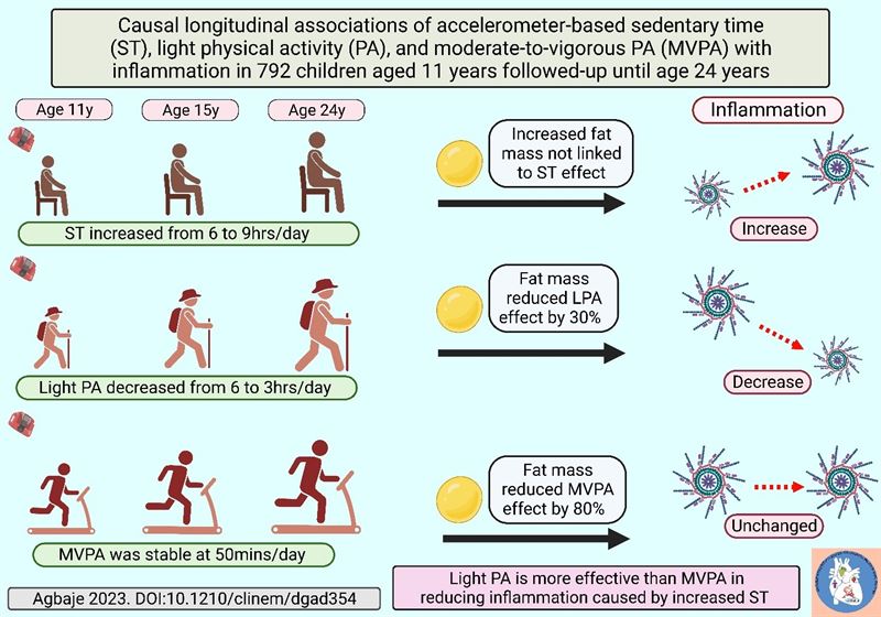 Light physical activity from childhood is more effective than MVPA in reducing inflammation