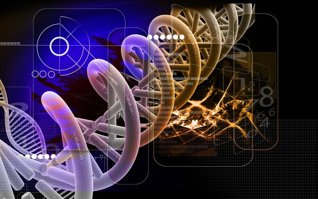 Report from the International Commission on the Clinical Use of Human Germline Genome Editing