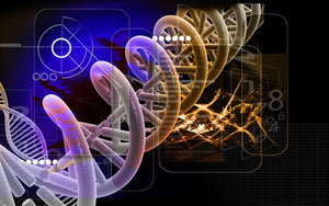 Report from the International Commission on the Clinical Use of Human Germline Genome Editing