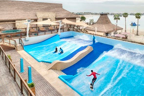 Banana Island & Discover Qatar Launch Whale Shark Excursions