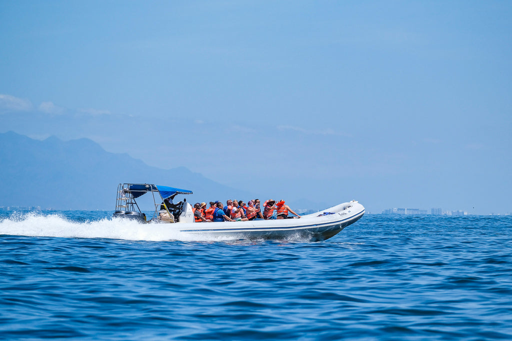La vida marina de Costalegre, un tesoro para descubrir a través de actividades acuáticas de la región