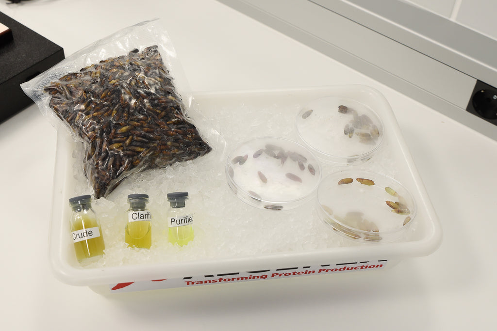 Algenex obtiene la certificación GMP de AEMPS para la fabricación de productos sanitarios