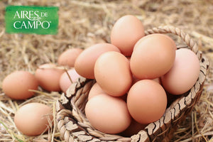 Huevo orgánico del campo a tu casa