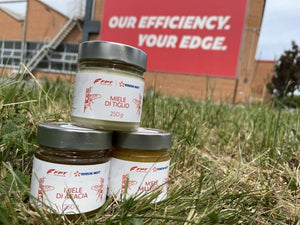FPT INDUSTRIAL Y EDISON NEXT CREAN LA PRIMERA ESTACIÓN DE BIOMONITORIZACIÓN CON ABEJAS