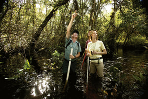 Paradise Coast El Paraíso Secreto de Florida