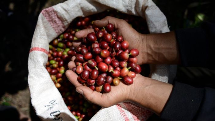 The Coffee Industry Considers Its Own OPEC: CEO Daily