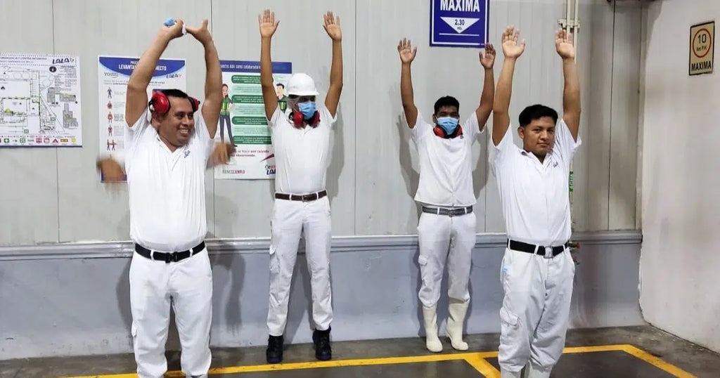 Grupo Lala obtiene la Certificación Organización Activa y Saludable 2024