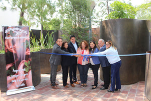 Hilton celebra 100 años y en México se une a Reforestamos México para regenerar 15 mil metros cuadrados de áreas boscosas