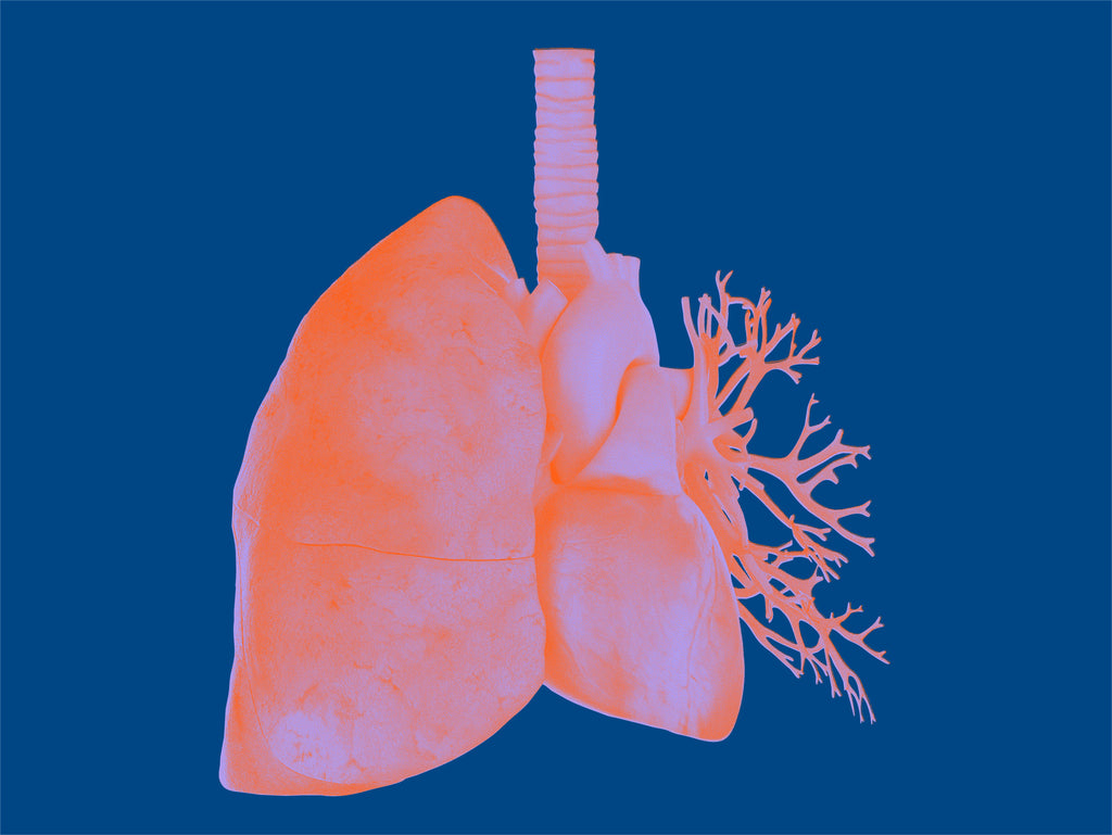 Terapia innovadora de primera línea ofrece nuevas esperanzas contra el cáncer de pulmón avanzado