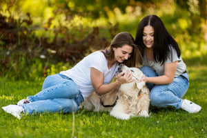 ¿Tu perro tiene la piel dañada? Esto te interesa