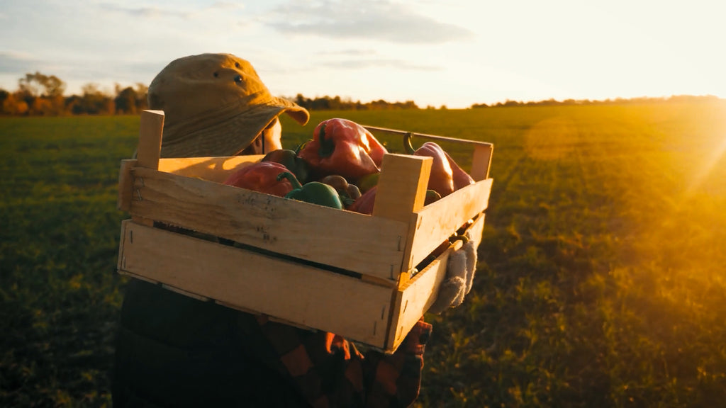 En 2023, industria agrícola enfrentará la inflación con tecnología y sustentabilidad