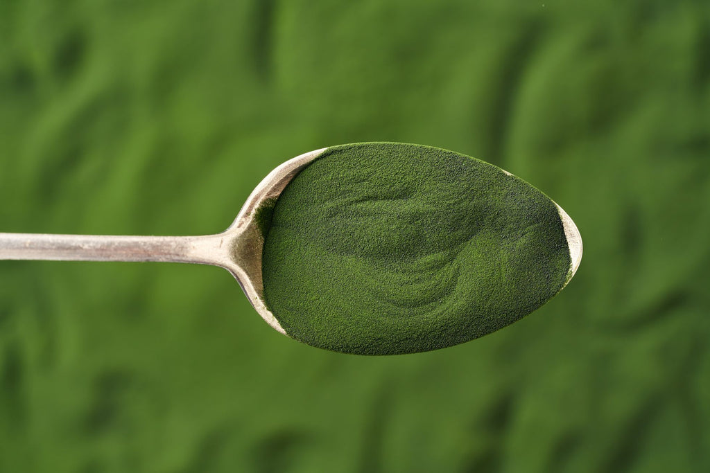 Microalgae promise abundant healthy food and feed in any environment