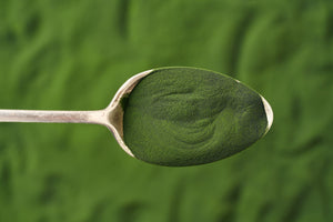 Microalgae promise abundant healthy food and feed in any environment