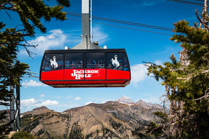 ¿Qué hacer en verano en Jackson Hole?