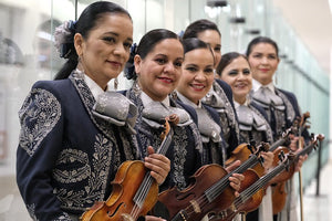 GUADALAJARA – BOGOTÁ DE VIVA AEROBUS