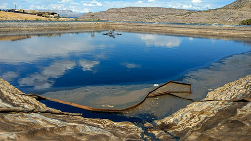 Reducción de lodos en lagunas de aguas residuales mediante la adición de microorganismos del genero Bacillus