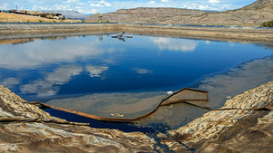 Reducción de lodos en lagunas de aguas residuales mediante la adición de microorganismos del genero Bacillus