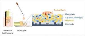 Convenient antioxidant capacity measurement of food