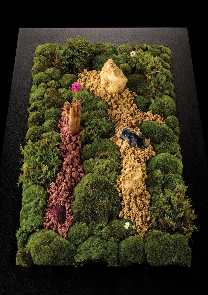 Sustainably shaping the future of food