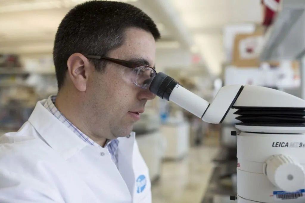 La resistencia a los antimicrobianos supone una amenaza cada vez mayor para la salud pública mundial