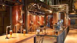 BEER FACTORY Y NOTCO TE INVITAN A  BRINDAR POR EL PLANETA