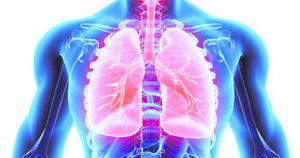 Abordar el cáncer de pulmón desde diversos ámbitos