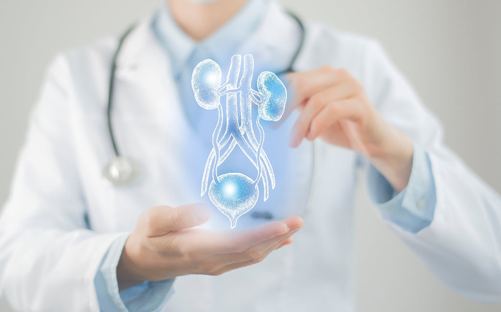 Cáncer de vejiga, una patología silenciosa que afecta a miles de mexicanos cada año