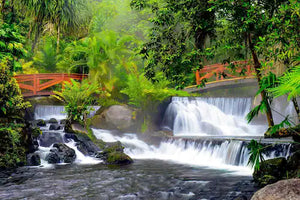 Tabacón Thermal Resort & Spa Partners with Harvard Psychologist to Provide Holistic Guest and Staff Wellbeing Program