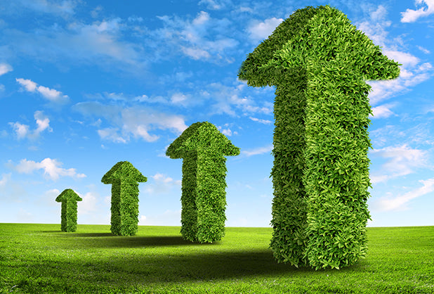 CITIBANAMEX Y GREENMOMENTUM IMPULSAN A EMPRESAS VERDES DEL PAÍS