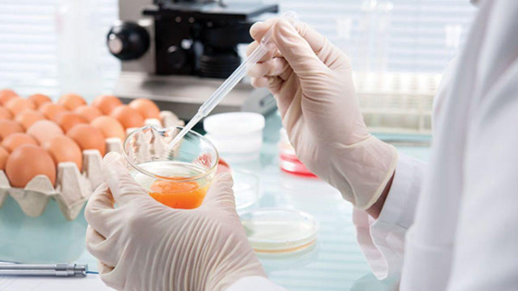 Food Safety Lab Grants $2.9M for New Global Projects