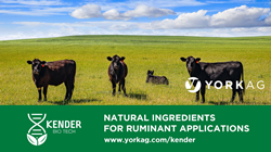 York Ag Announces New Kender Bio Tech Ruminant Ingredients Website Presence
