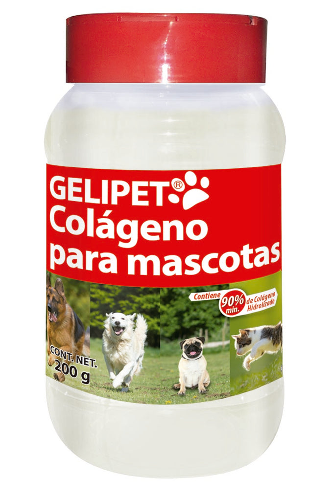 Perros que volvieron a caminar y correr gracias al colágeno hidrolizado