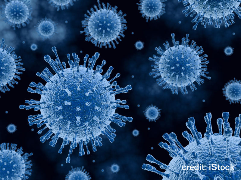 Hope for Hepatitis Patients as New Paper Presents Path to its Elimination