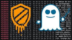 Protecting Yourself From Spectre, Meltdown and other Speculative Execution (“SPEX”) Vulnerabilities