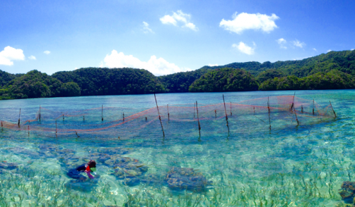 Farmed seafood supply at risk if we don’t act on climate change