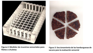 Análisis sensorial: ¿qué puede hacer por su producto?