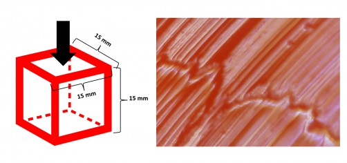 The Physics of Gummy Candy