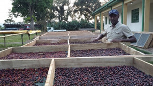 Study Shows Top “Ingredient” to Good-Tasting Coffee