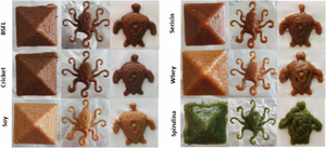 Fancy a side of 3D printed carrots and crickets with your meal?